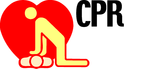bay ridge cpr class