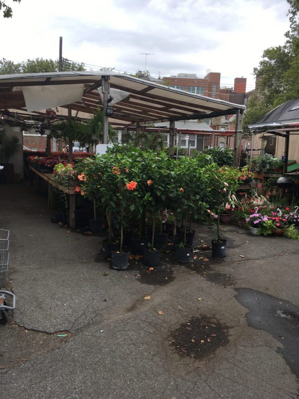 bayridge florist