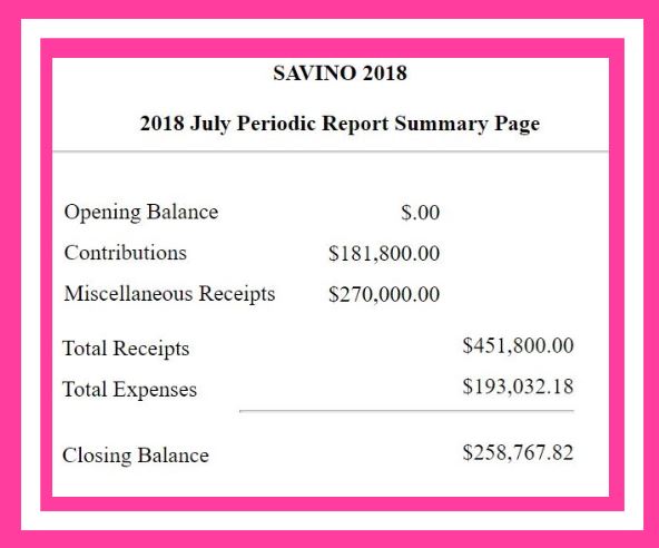 Diane Savino IDC Spending July 2018 Staten Island